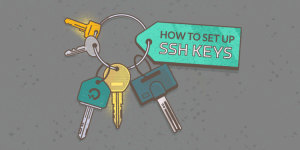 Read more about the article PuTTY – SSH Windowsiin