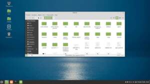 Read more about the article VPS:n hakemisto näkyviin Linux Mintiin